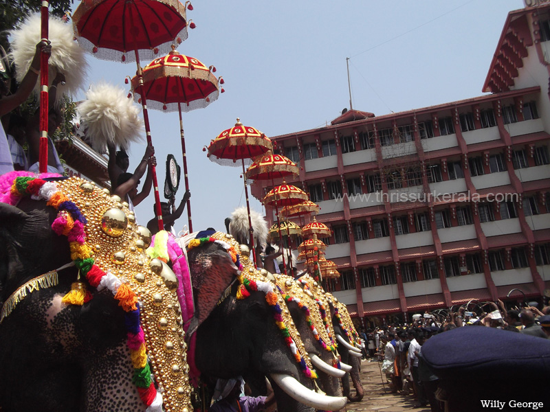 thrissur-pooram-2013-0 (10)